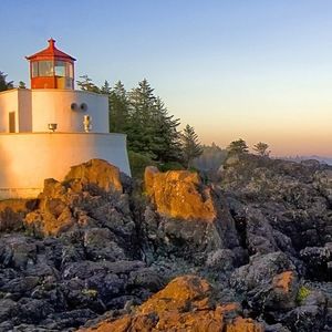 Meet your Posher, Sonia